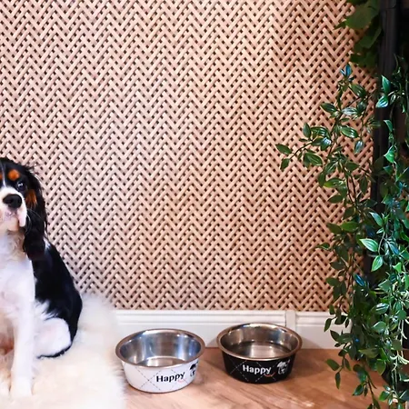 Lubinski Hotel Stężyca