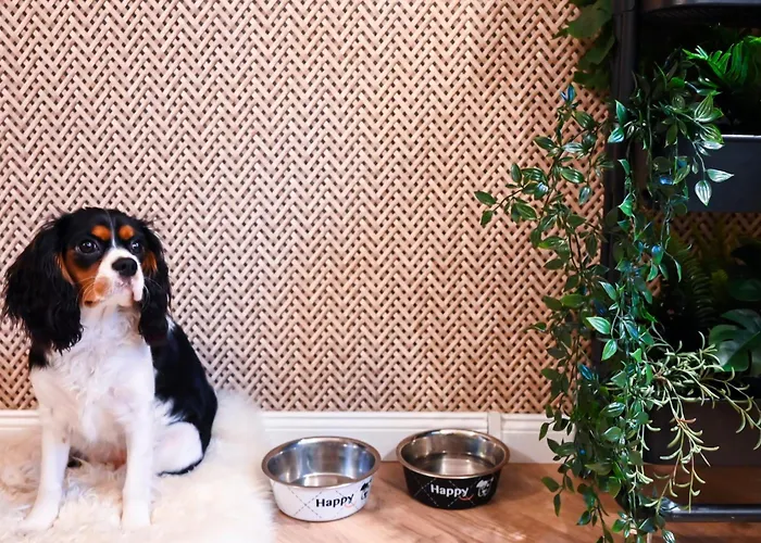 Lubinski فندق Stężyca